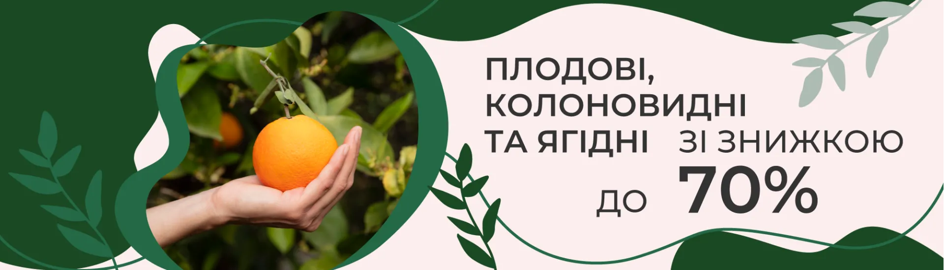Плодові, колоновидні, ягідні
