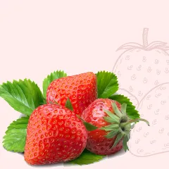 Полуниця