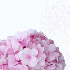 Клубника