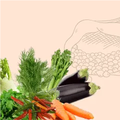 Ягодные кустарники