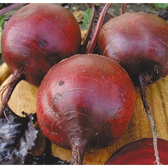 Буряк столовий Делiкатесний, (насіння 3г)