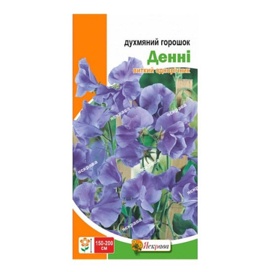 Горошок духмяний Денні, (насіння 1г)