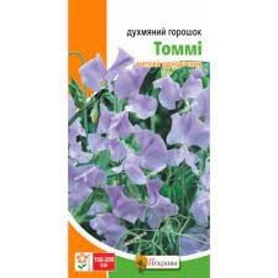 Горошок духмяний Томмі, (насіння 1г)