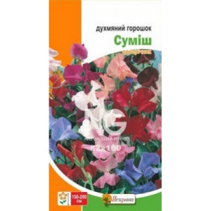 Горошек душистый, смесь окрасов (семена 1г)