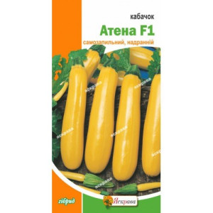 Кабачок Атена F1, (насіння 5 шт в упк)
