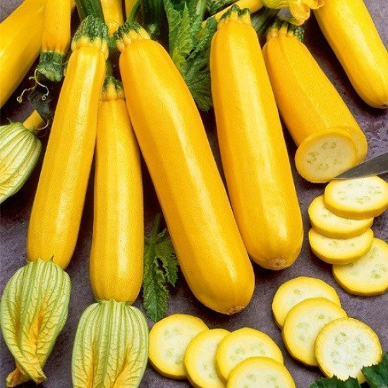 Кабачок Золотинка, (насіння 3г)