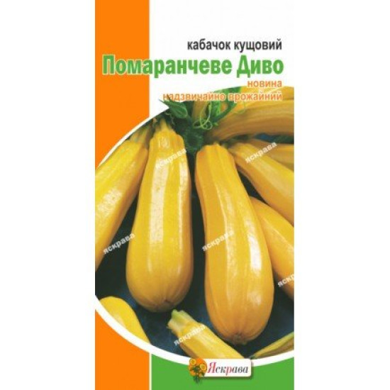 Кабачок Помаранчеве Диво, (насіння 2г)