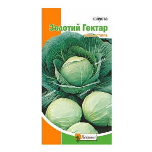 Капуста білоголова Білосніжка, (насіння 0.5г)