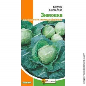 Капуста білоголова Зимовка, (насіння 0,5г)