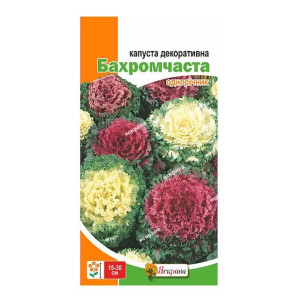 Капуста декоративна Бахромчата, (насіння 0,2г)