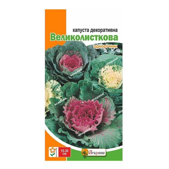 Капуста декоративна Великолисткова, (насіння 0,2г)