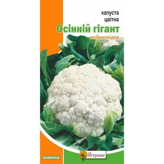 Капуста цвiтна Осінній Гігант, (насіння 0,3г)