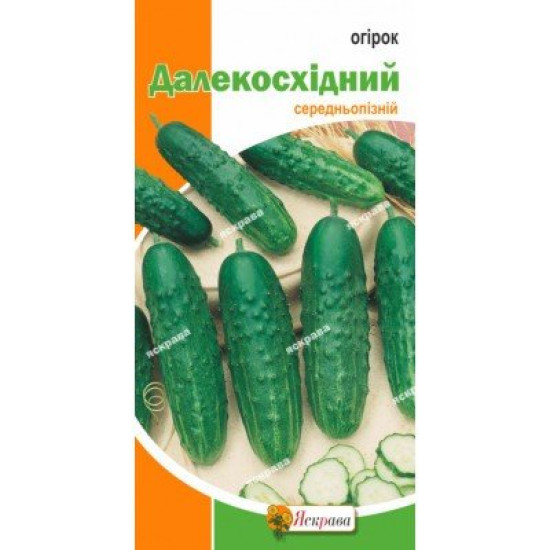 Огiрок Далекосхідний, (насіння 1г)