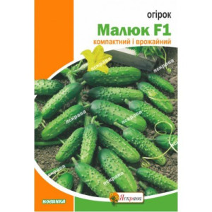 Огiрок Малюк, (насіння 5г)