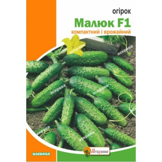 Огiрок Малюк, (насіння 5г)