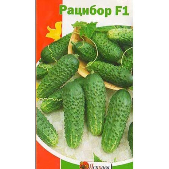 Огiрок Рацибор F1, (насіння 25 шт в упк)