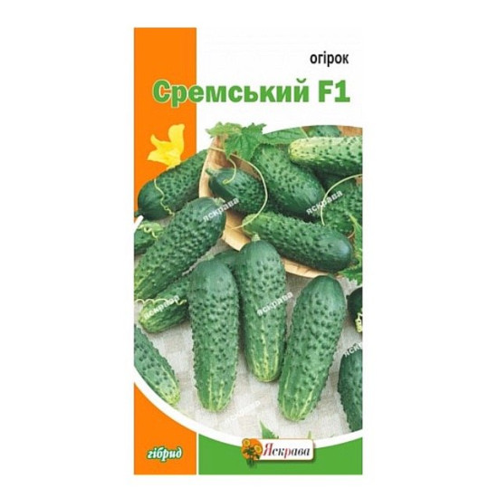 Огiрок Сремський F1, (насіння 0,5г)