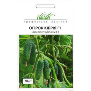 Огірок Кібрія F1, (насіння 10 шт в упк)