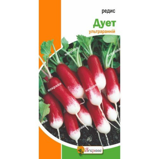 Редис Дует, (насіння 3г)