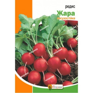 Редис Жара, (насіння 3г)