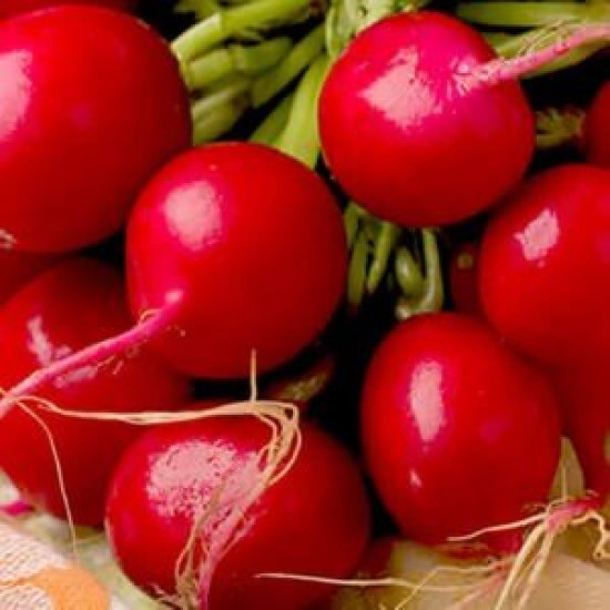 Редис Престо, (насіння 10г)