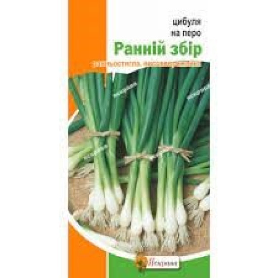 Цибуля на перо Ранній збір, (насіння 1г)