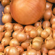 Цибуля ріпчаста Штутгартер Різн, (насіння 1г)