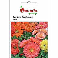 Гербера Джеймсона, суміш забарвлень (насіння 0,1г)