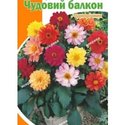 Жоржина махрова Чудовий Балкон, (насіння 0,3г)