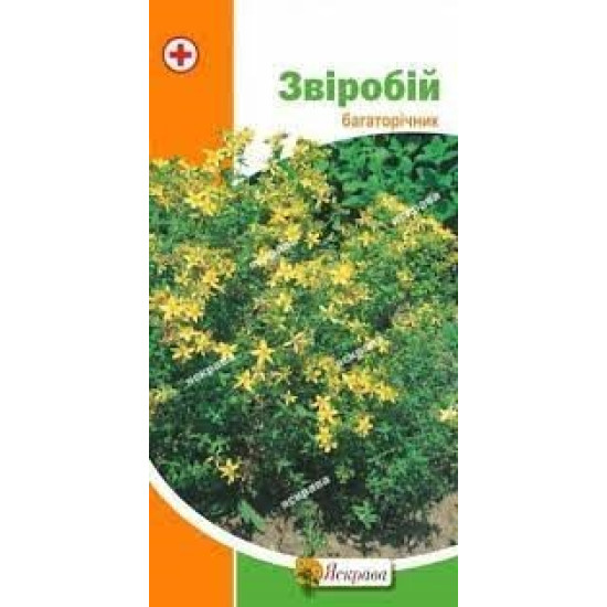 Зверобой (семена 0,2г)