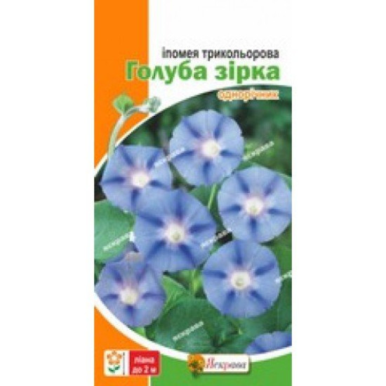 Іпомея Голуба зірка, (насіння 0,1г)