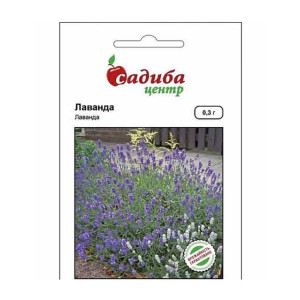 Лаванда (насіння 0,3г)