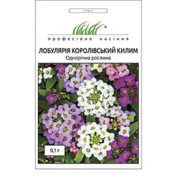 Лобулярія Королівський килим, суміш забарвлень (насіння 0,1г)
