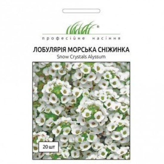 Лобулярія морська Сніжинка, (насіння 20 шт в упк)