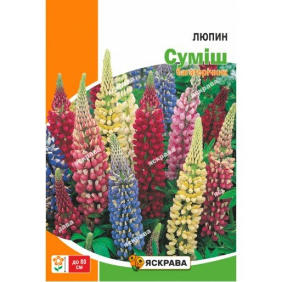 Люпин, суміш забарвлень (насіння 0.5г)