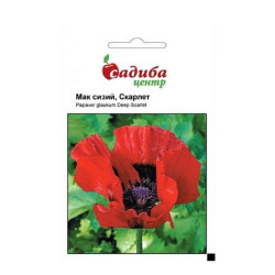 Мак східний Скарлет, (насіння 0,1г)