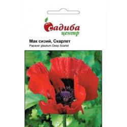 Мак східний Скарлет, (насіння 0,1г)