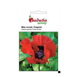 Мак Восточный Скарлет (семена 0,1г)