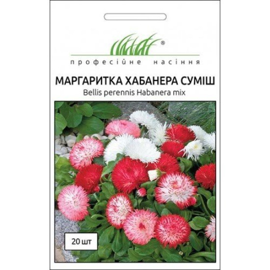 Маргаритка Хабанера, суміш забарвлень (насіння 20 драже в упк)