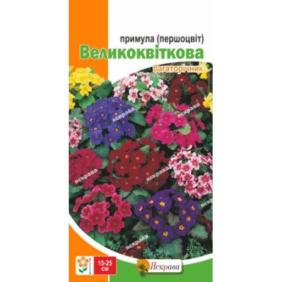 Первоцвет большецветный, смесь окрасов (семена 50 шт в упк)