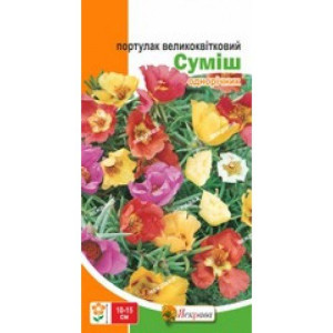 Портулак великоквiтковий, суміш забарвлень (насіння 0,2г)