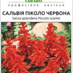 Сальвія Піколо червона, (насіння 0.1г)