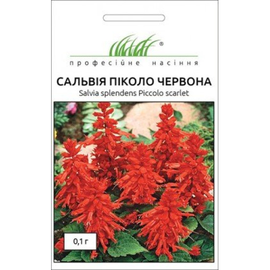 Сальвія Піколо червона, (насіння 0.1г)