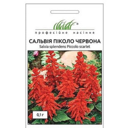 Сальвія Піколо червона, (насіння 0.1г)