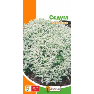 Седум, (насіння 0,05г)