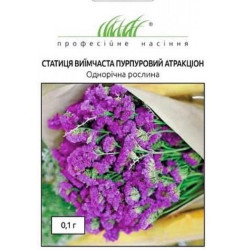 Статиця Пурпуровий атракціон, (насіння 0.1г)