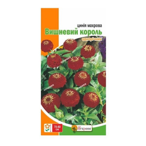 Цинiя Вишневий король, (насіння 0,5г)
