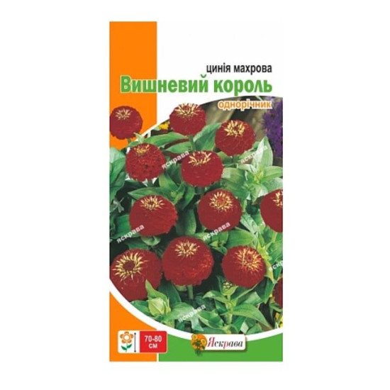 Цинiя Вишневий король, (насіння 0,5г)