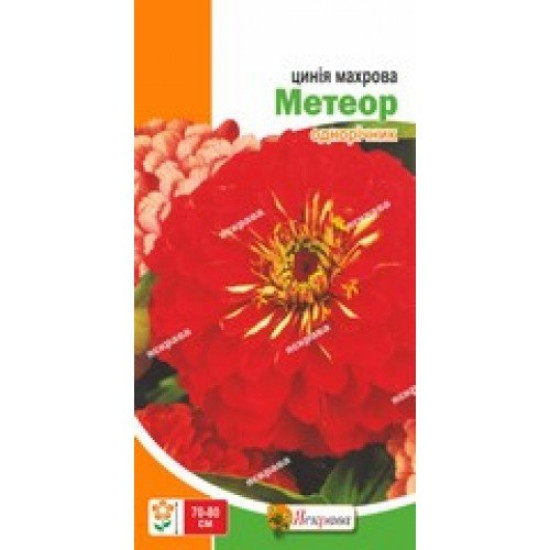 Цинiя Метеор, (насіння 0,5г)