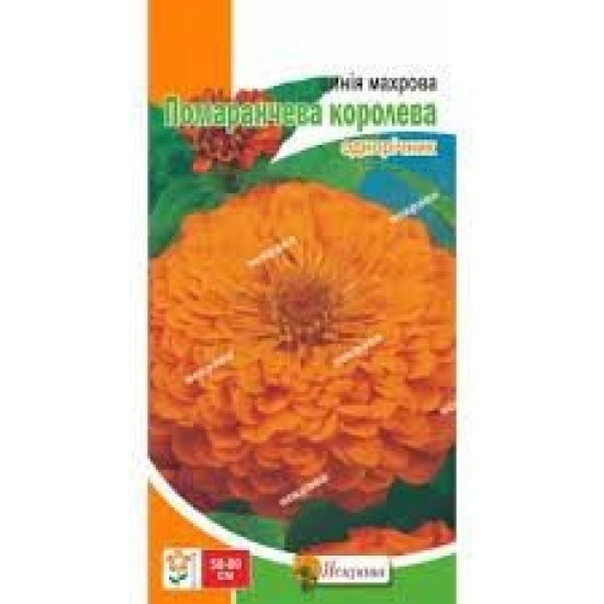 Циния Оранжевая Королева (семена 0,5г)